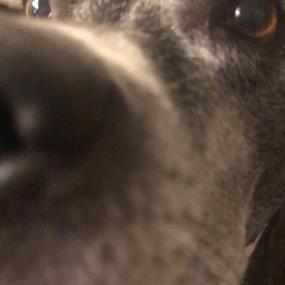 Meet your Posher, Jeff - Picture 1 of 1